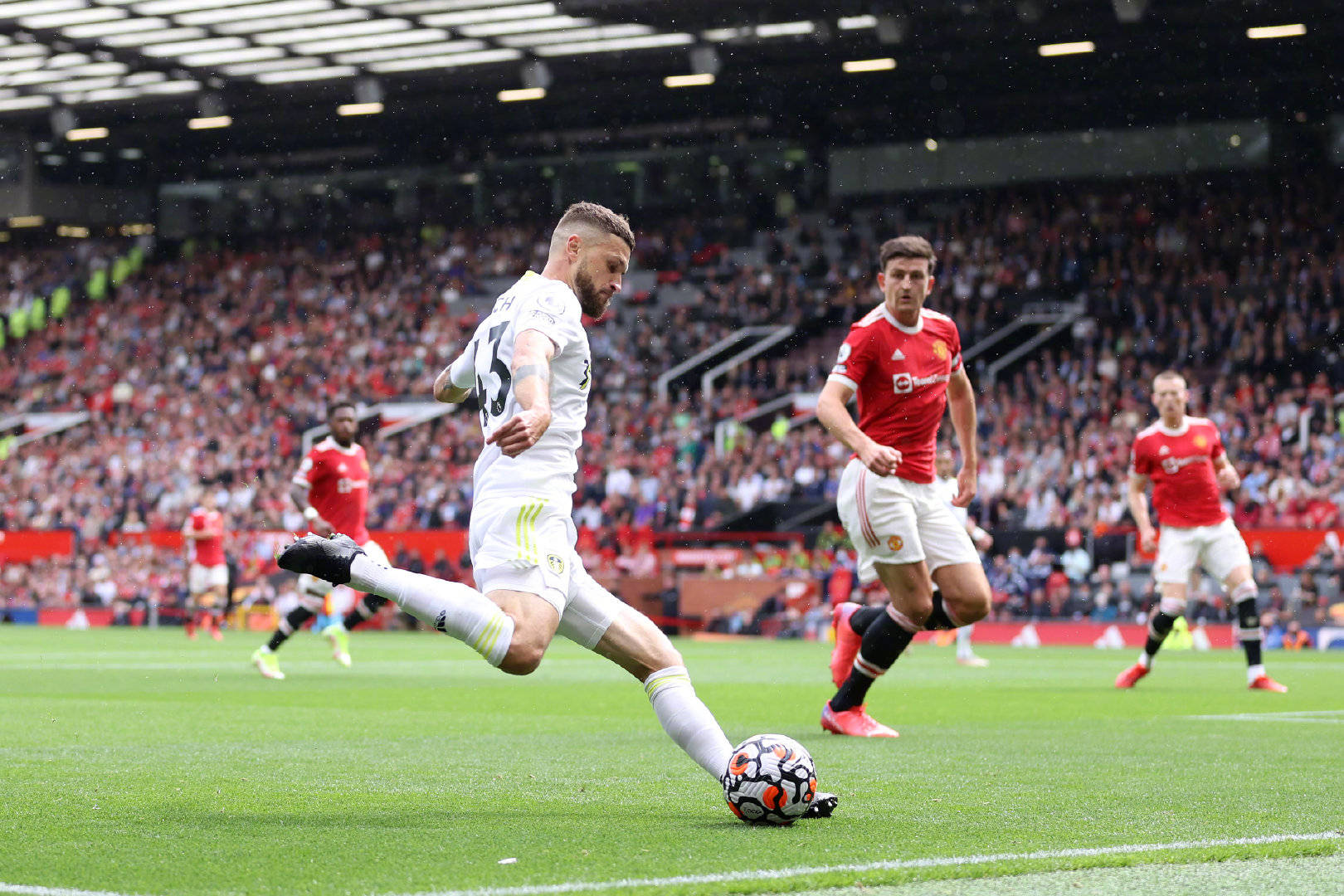 和无畏的勇 和无畏的勇